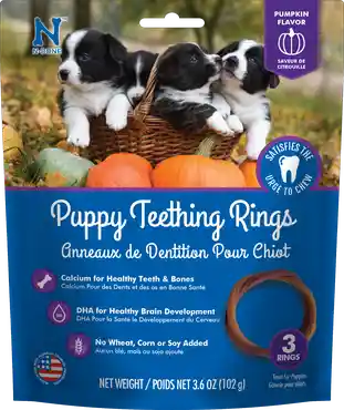 NBONE Puppy Teething Ring Pumpkin 3 pk
