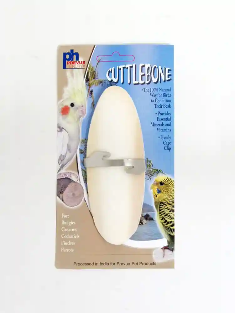 Cuttlebone Small 4-5' Simple