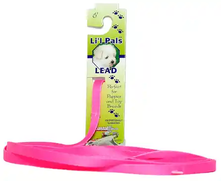 Dog Leash With E-z Snap - Neon Pink 3/8" X 06'