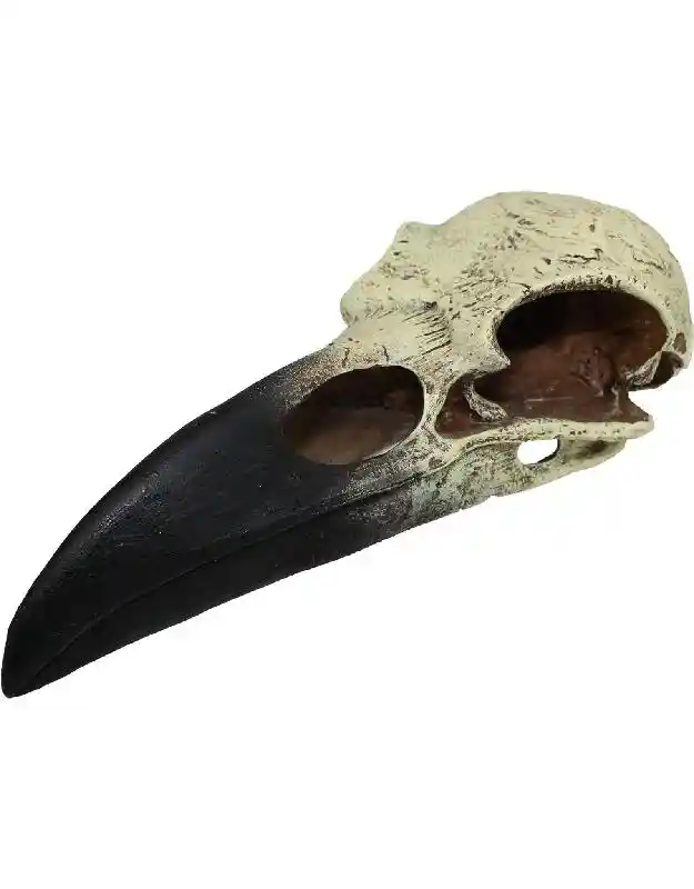 Lg. Raven Skull