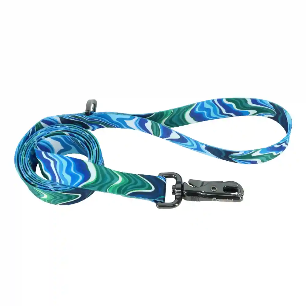 1" Inspire Fashion Leash - Dgm 6'