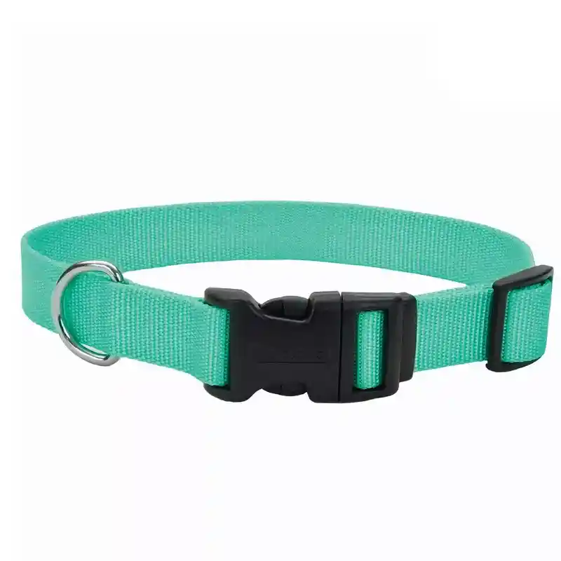 Adjustable Dog Collar With Plastic Buckle - Teal Med 3/4" X 14" 20"