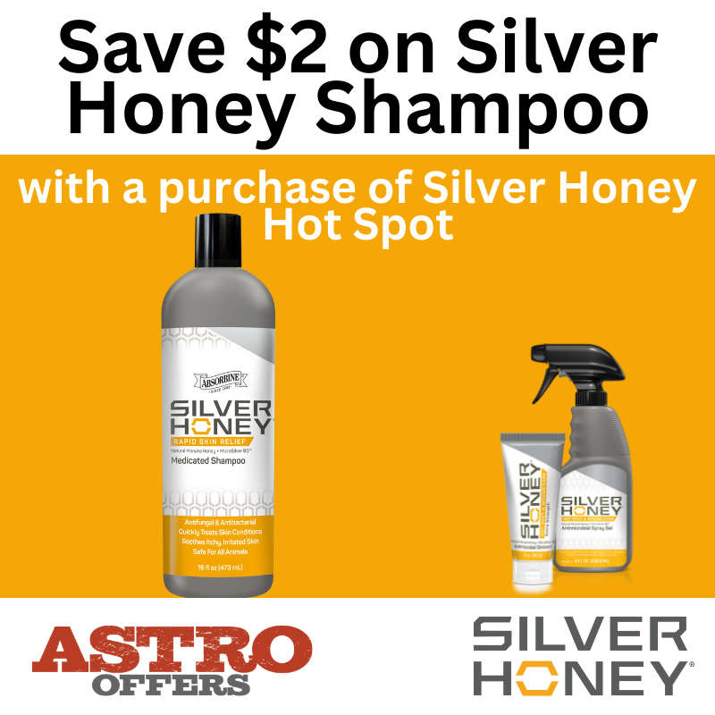 Promotion Image