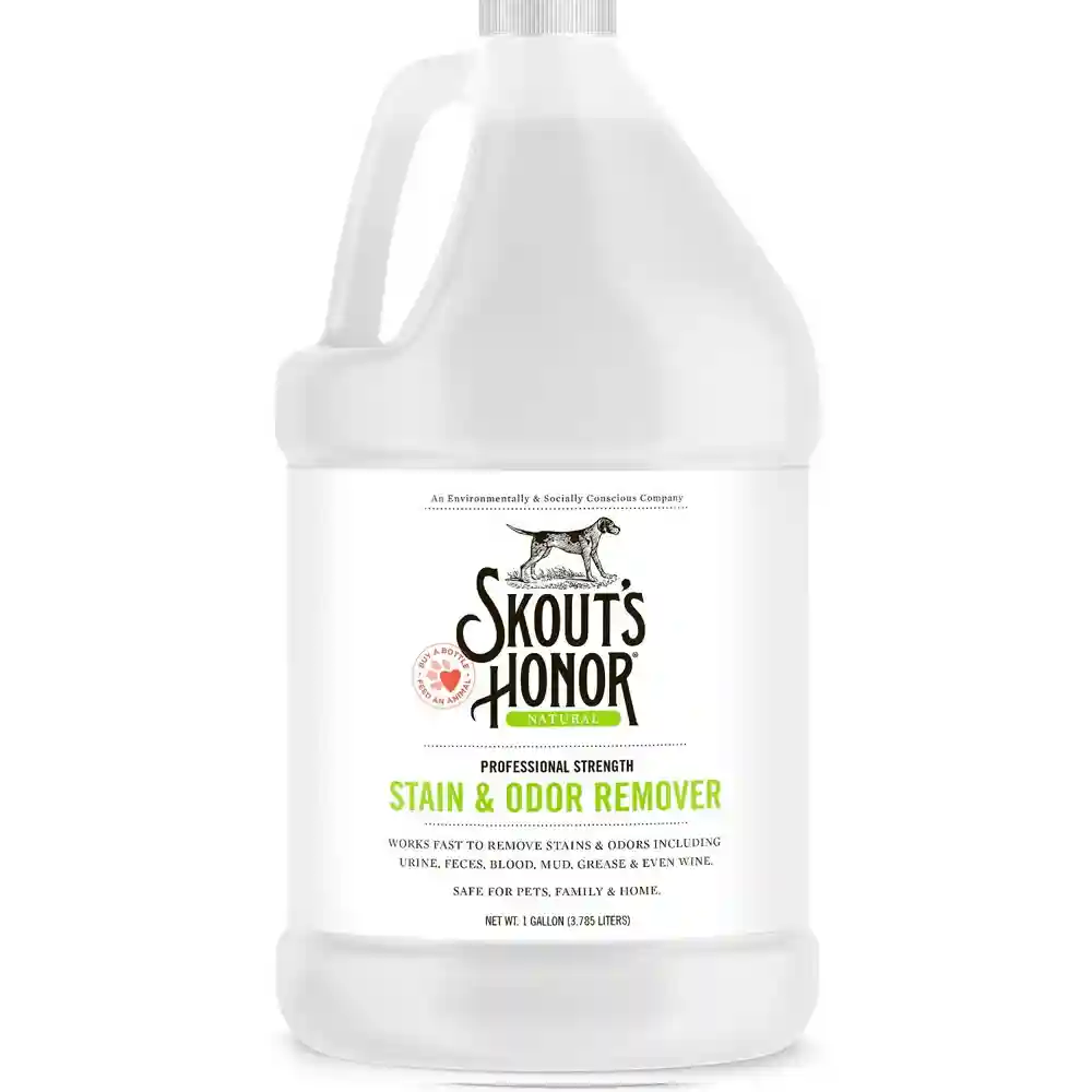 Professional Strength Stain & Odor Remover 128-oz