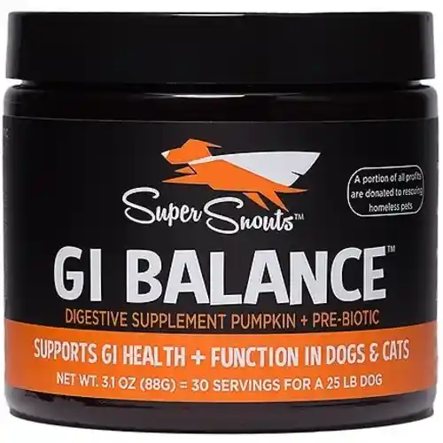 SS GI BALANCE 3.1 oz