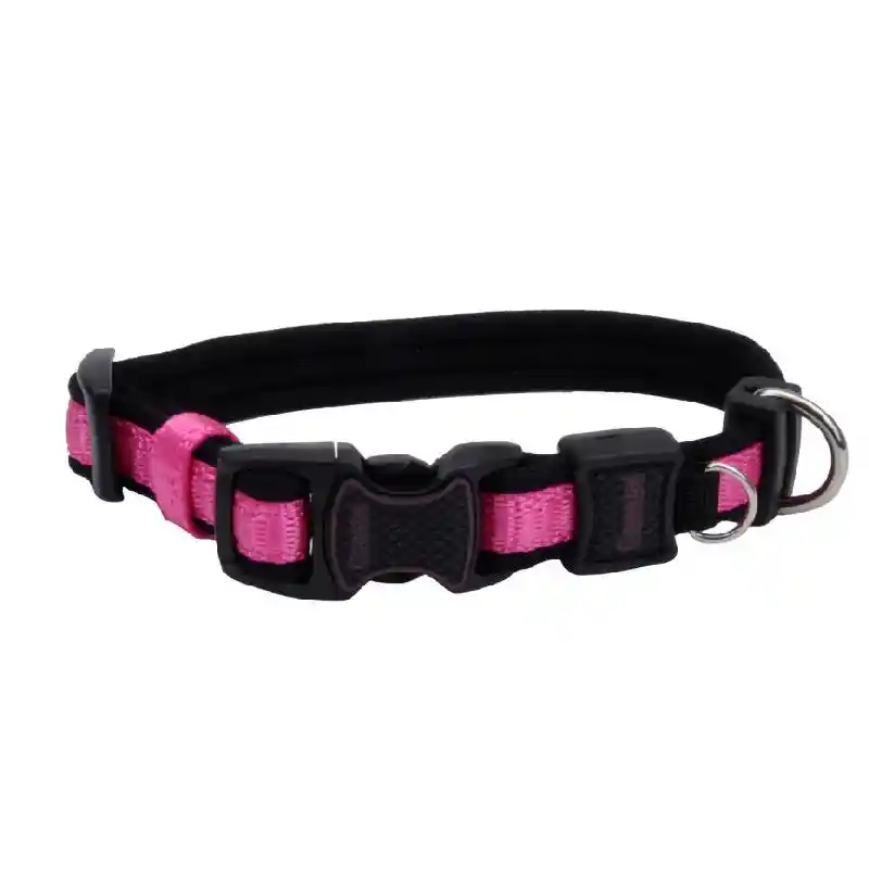 Dog Leash Inspire - Pink 5/8" X 06'