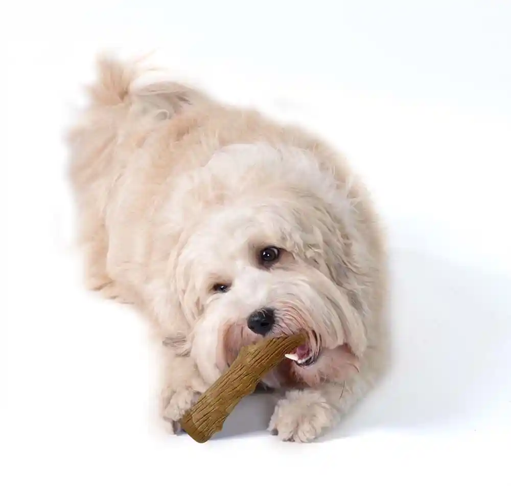 Petstages Dogwood Stick SM