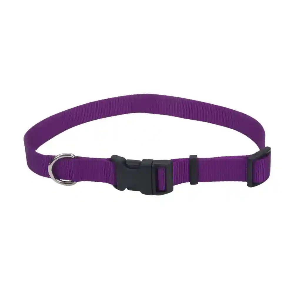 Adjustable Dog Collar With Plastic Buckle - Purple Med 3/4" X 14" 20"