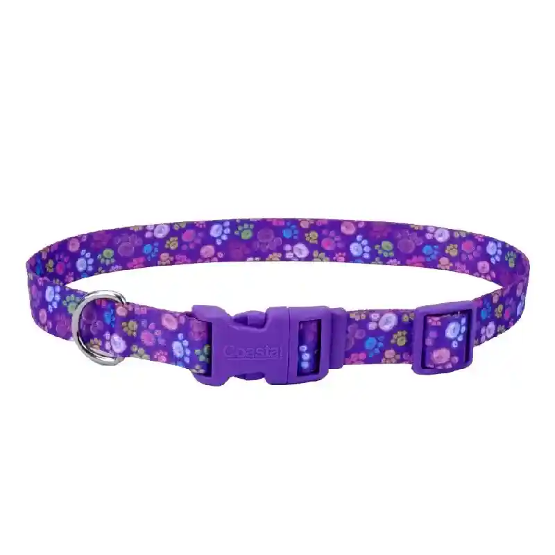 Adjustable Dog Collar Special Paws 3/8" X 08" - 12"