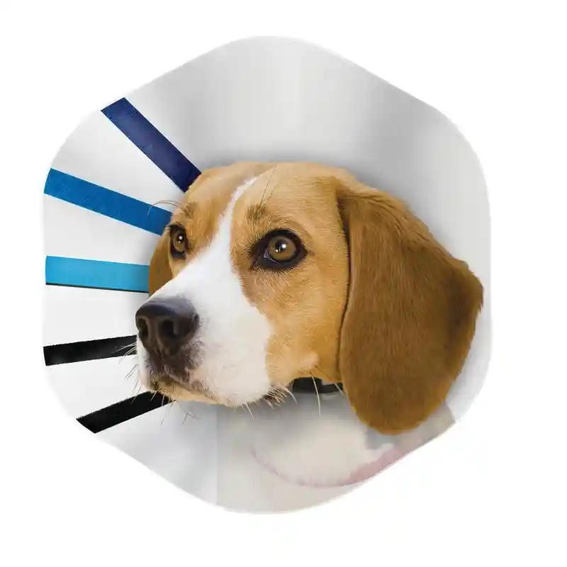 Kong E-collar King-assorted Colors