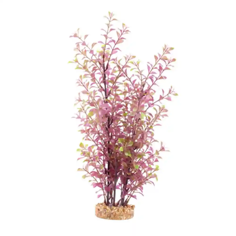 Fluval Aqualife Plant Scapes Red Ludwigia 14-in