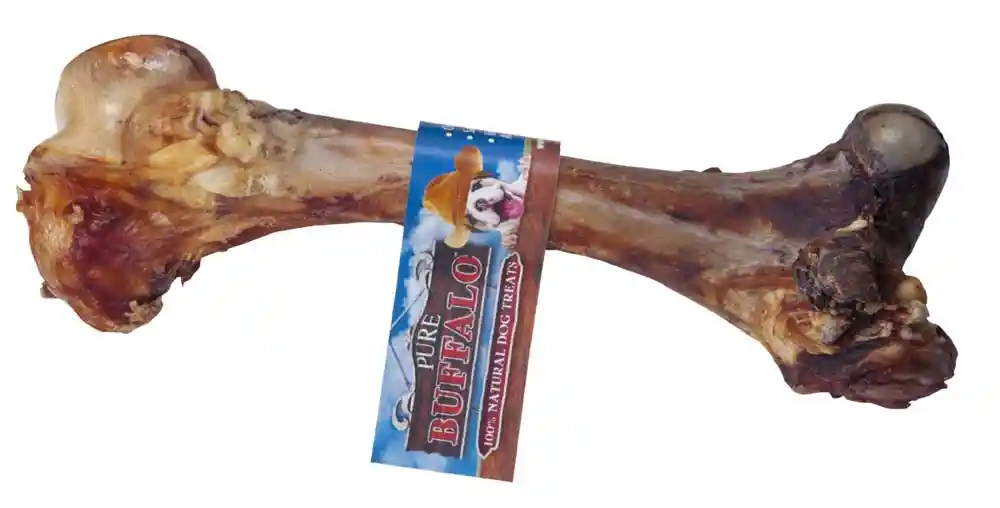 Buffalo Femur Bone 14"-16"