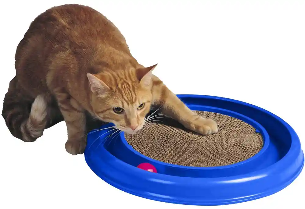 Turbo Scratcher Cat Toy Assorted 1 Pack
