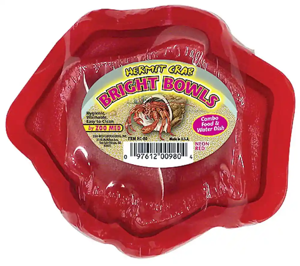 Hermit Crab Bright Bowls-neon Red