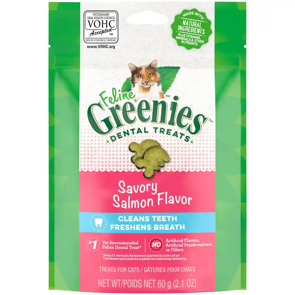 Adult Dental Care Savory Salmon Cat Treats - 2oz Pouch