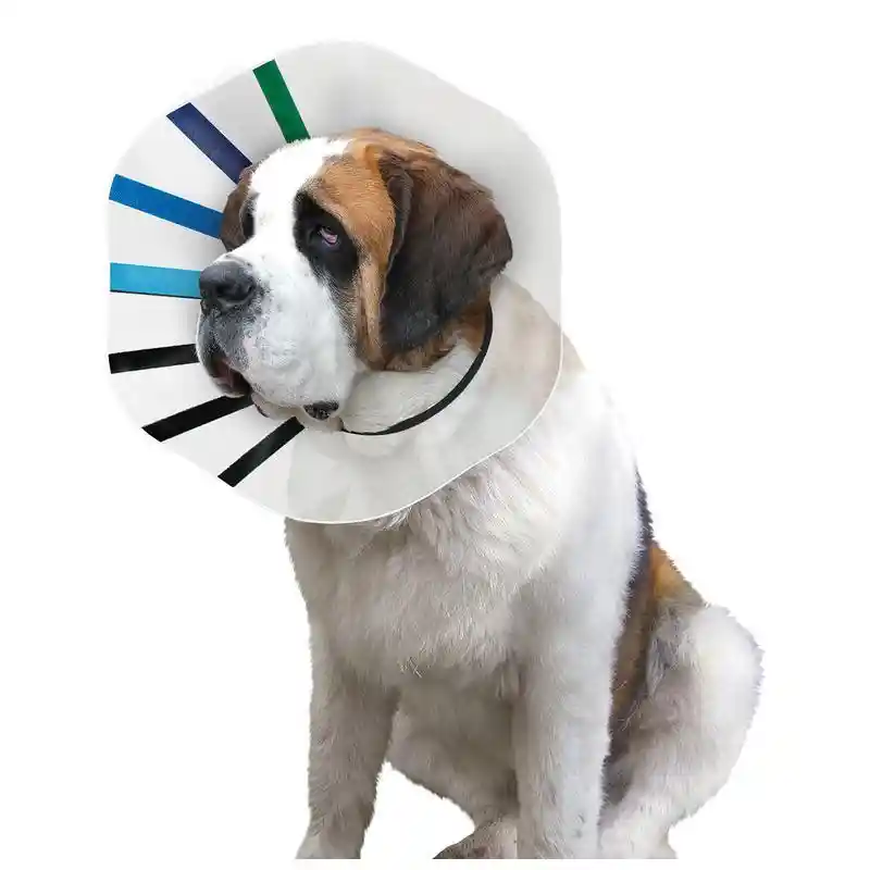 Kong Cone Plastic E-collar Small E3 Assorted