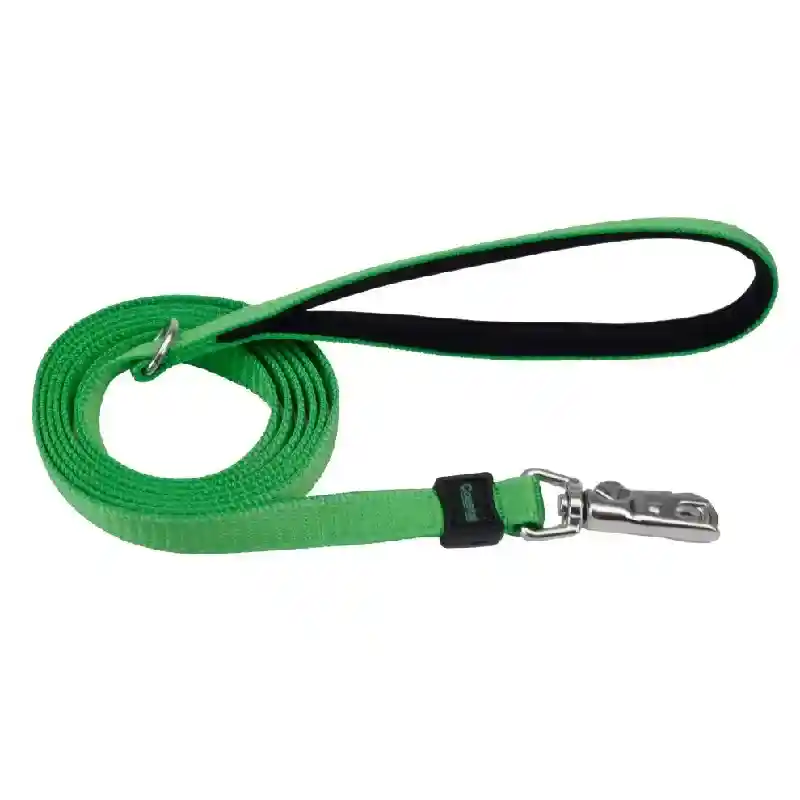 Dog Leash Inspire - Green 5/8" X 06'