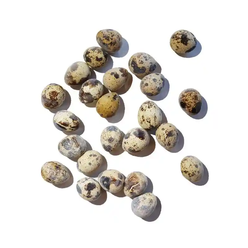 Savage Cat Quail Eggs 9 oz