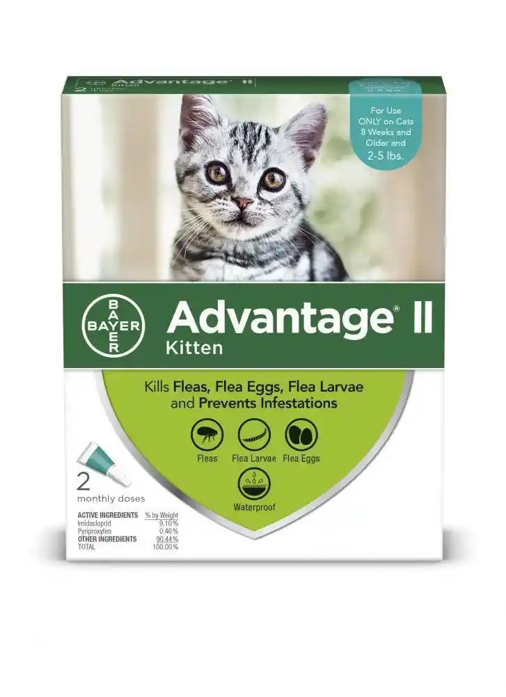 Kitten 2 Monthly Doses