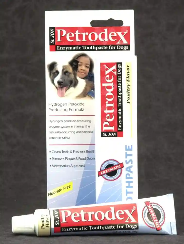 TOOTHPASTE POUL 2.5Z