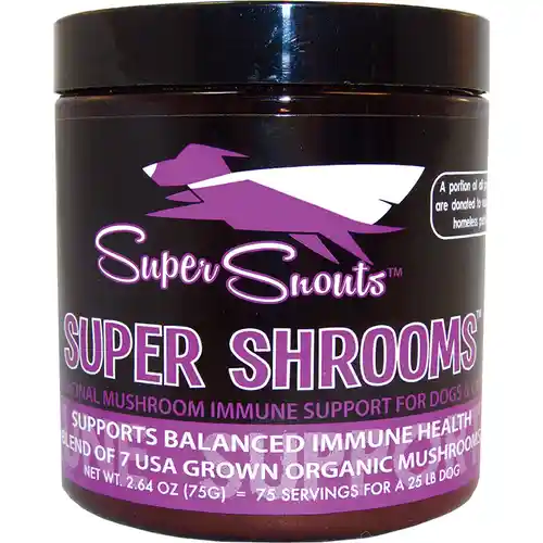 SS SUPER SHROOMS 75GM