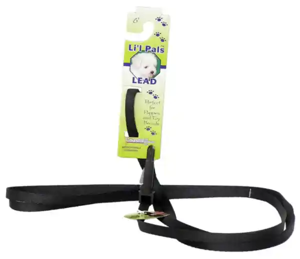 Dog Leash With E-z Snap - Black 3/8" X 06'