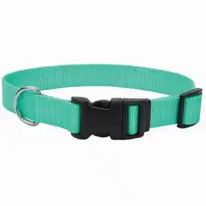 Adjustable Dog Collar With Plastic Buckle - Teal Sml 5/8" X 10" 14"