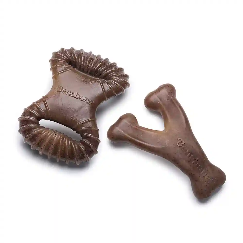 WISHBONE/DENTAL 2PK BCN TINY