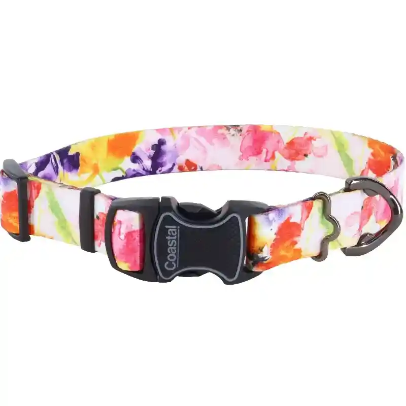 Inspire Adjustable Fashion Collar -shb 12"