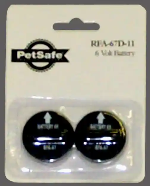 LITHIUM BATTERY 2PK 6V