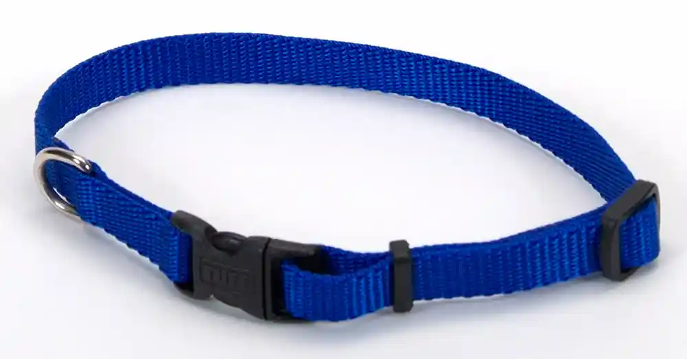 Adjustable Dog Collar With Plastic Buckle - Blue Xsml 3/8" X 8" 12"
