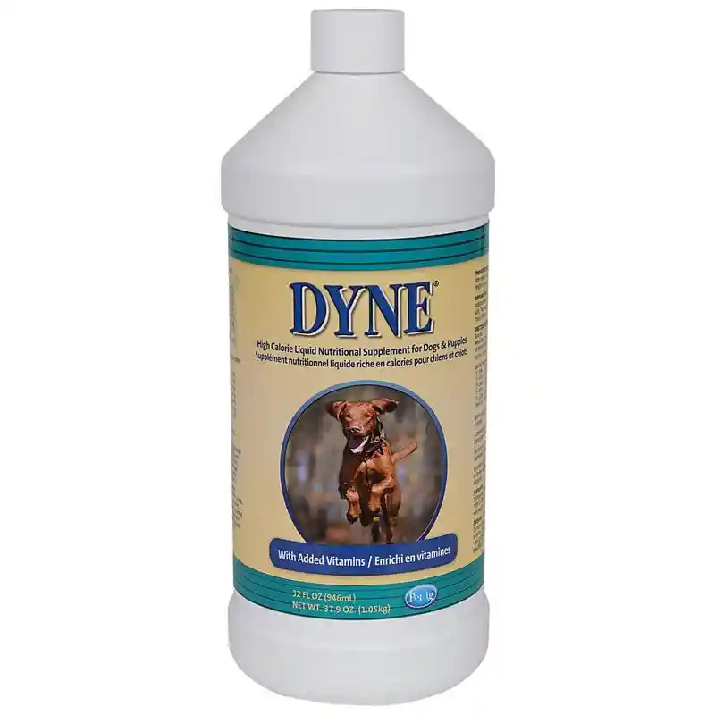 Dyne High Cal Supp 32 oz