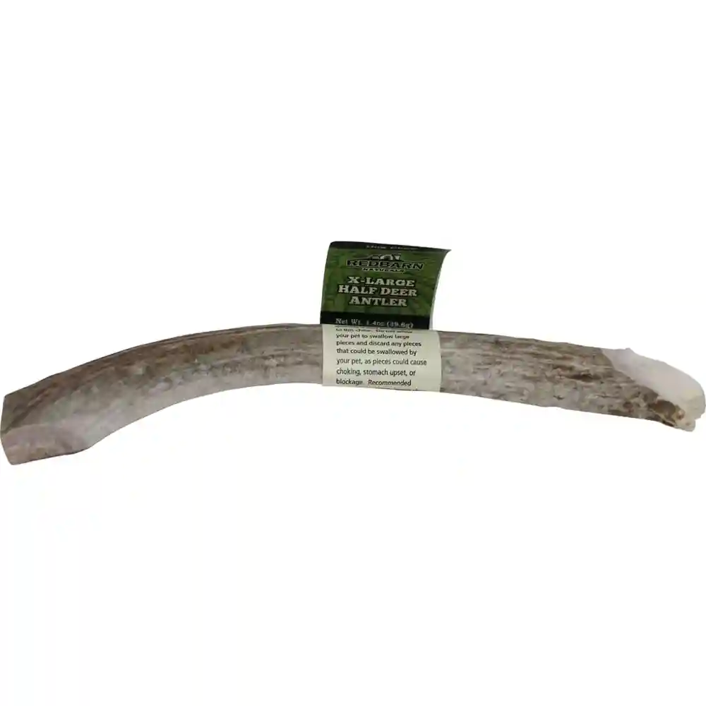 Half Deer Antler -xlrg