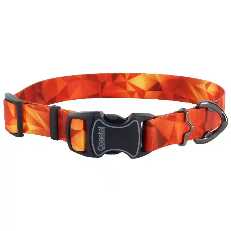 Inspire Fashion Leash - Bzs 6'