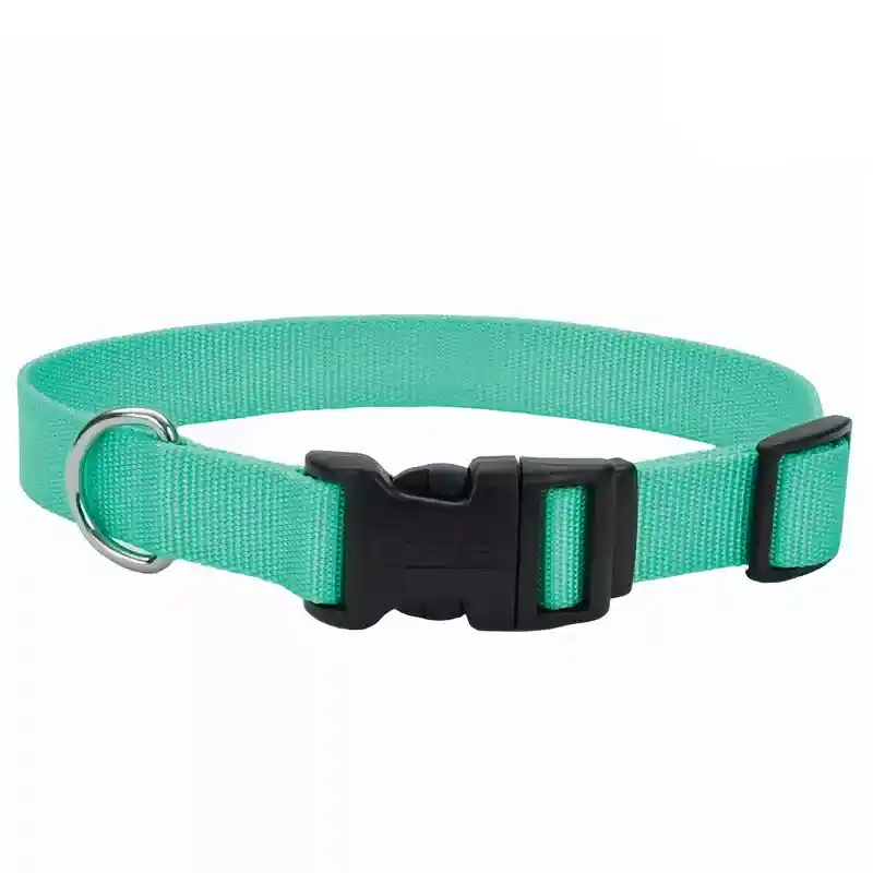 Adjustable Dog Collar With Plastic Buckle - Teal Xsml 3/8" X 8" 12"
