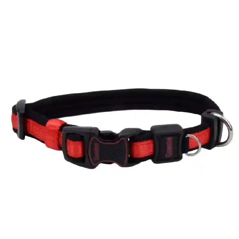 Dog Leash Inspire - Red 5/8" X 06'