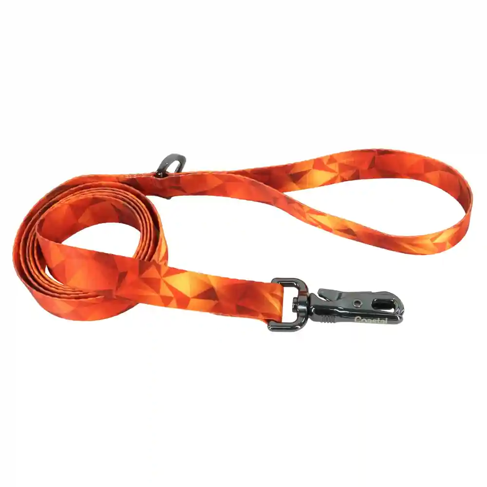 1" Inspire Fashion Leash - Bzs 6'