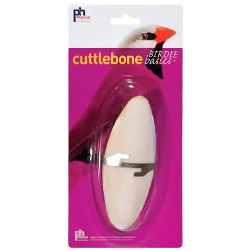 Medium Cuttlebone - 1pc