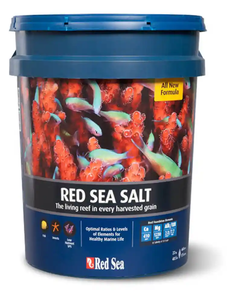 RED SEA SALT BUCK 175G