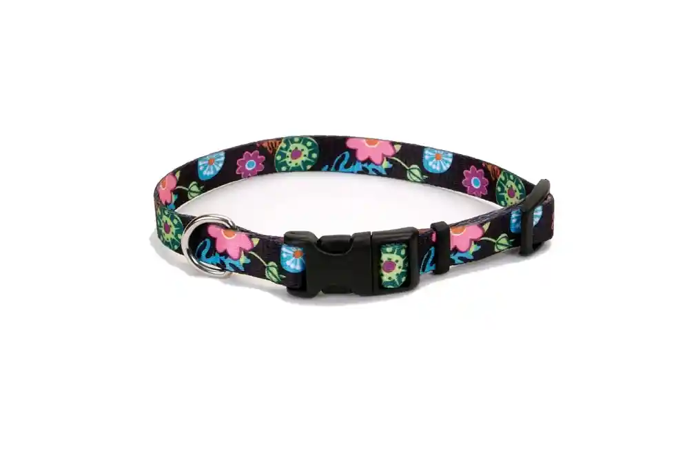 Adjustable Dog Collar Wildflower 5/8" X 10" - 14"