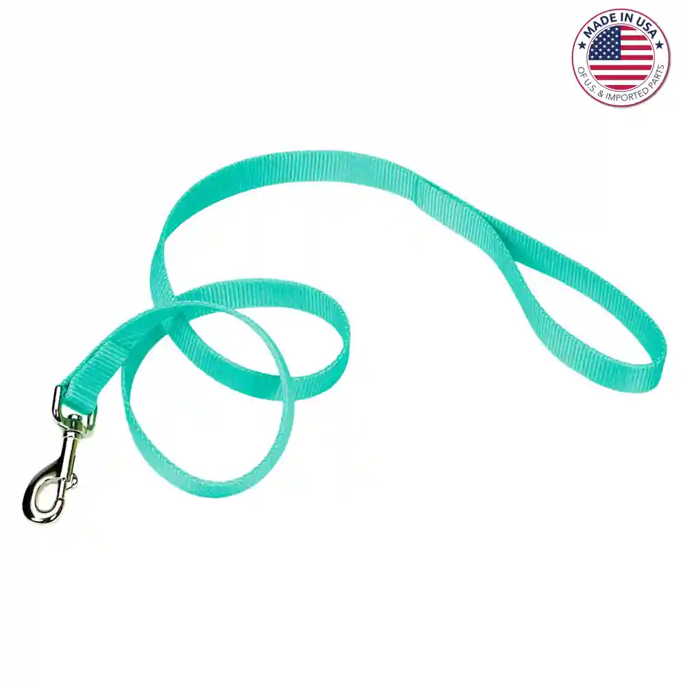 Single Ply Dog Leash - Teal 1" X 06'