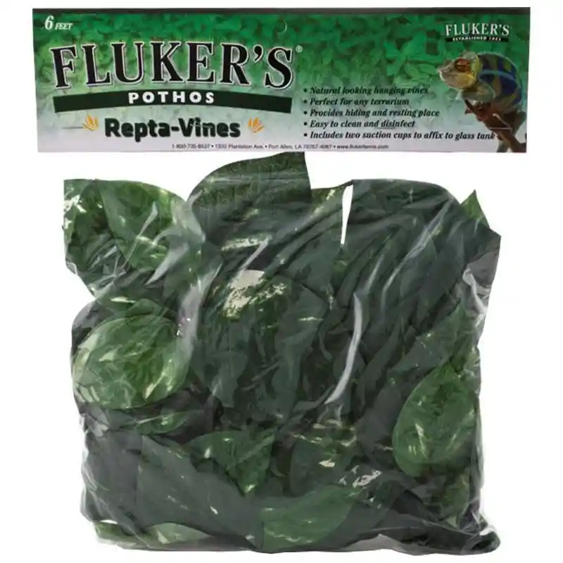 REPTAVINES POTHOS