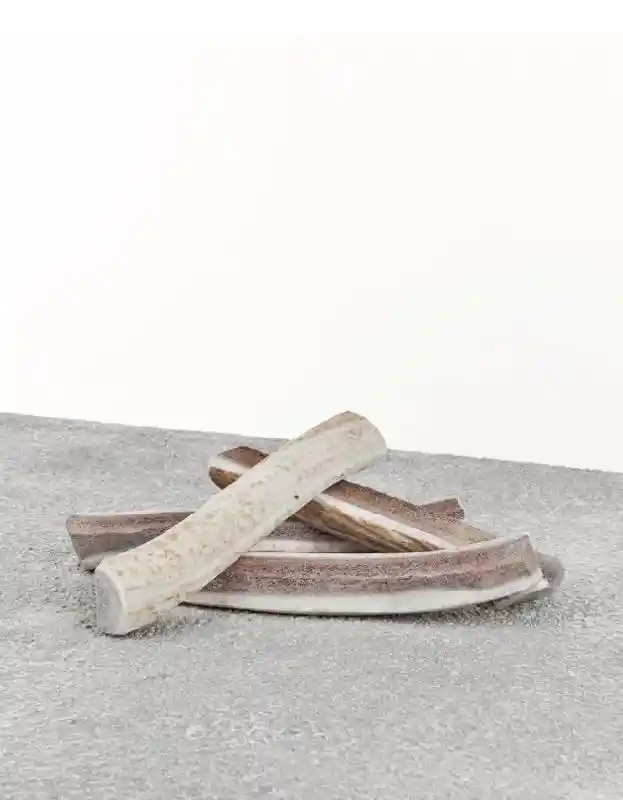 Primal Split Elk Antler LG