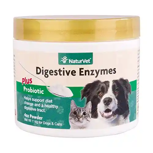 NV Enzymes & Probiotics 8 oz