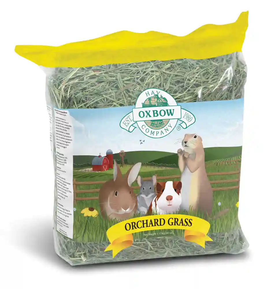 ORCHARD GRASS HAY 40OZ