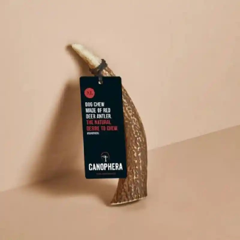 Canophera Xlarge Dog Full Red Deer Antler Chew Ea