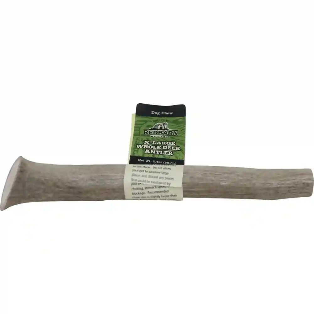 Whole Deer Antler -xlrg