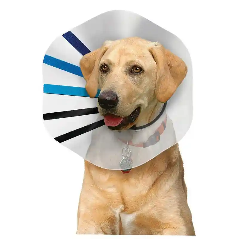 Kong Dog Ez Clear E-collar Medium