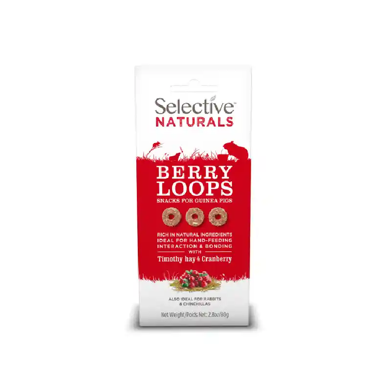 Treat Loops Berry Guinea Pig 2.8 oz