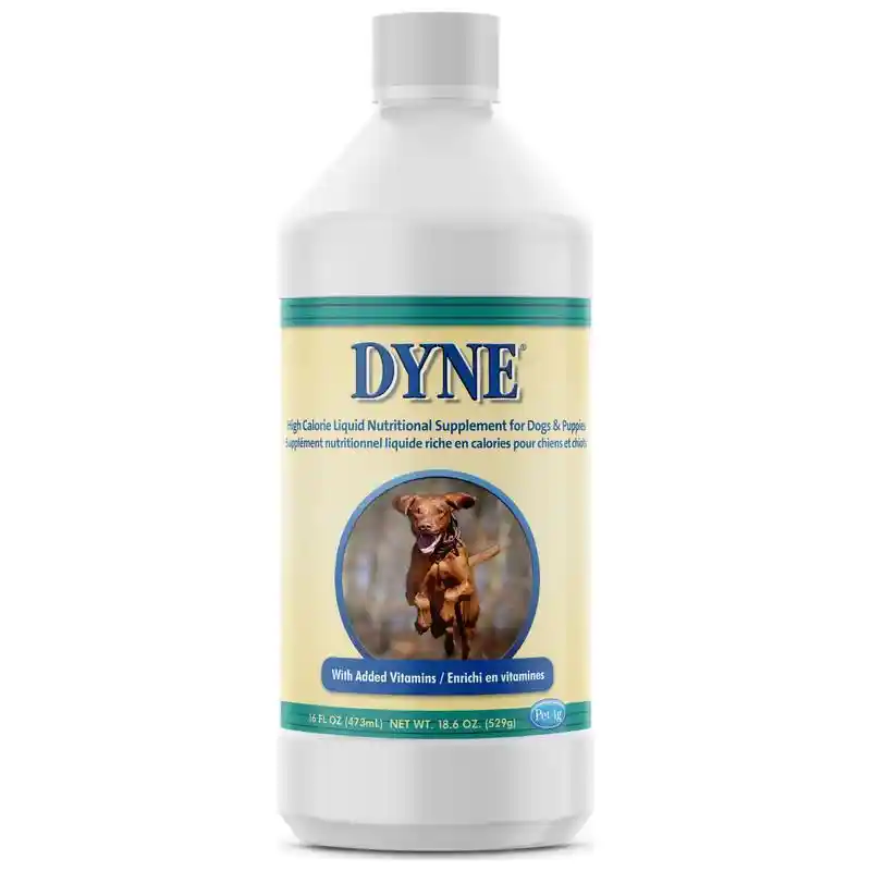 Dyne High Cal Supp 16 oz